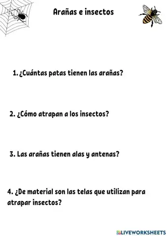 Actividad -Arañas e insectos-