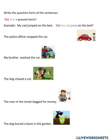 Past simple question