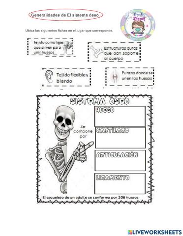 Generalidades del sistema óseo