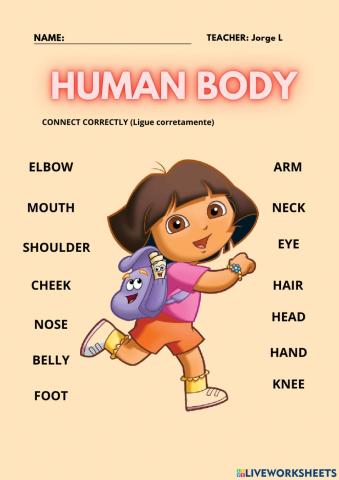 Human body