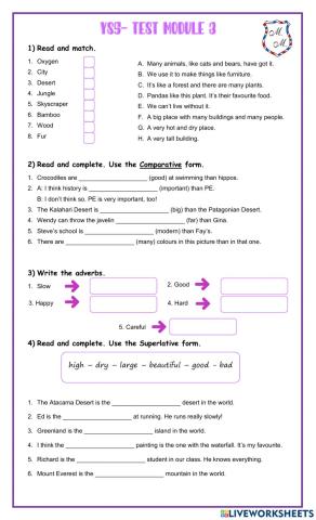 YS5 - Test Unit 3