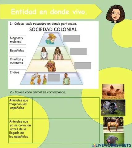 Vida en la nueva España