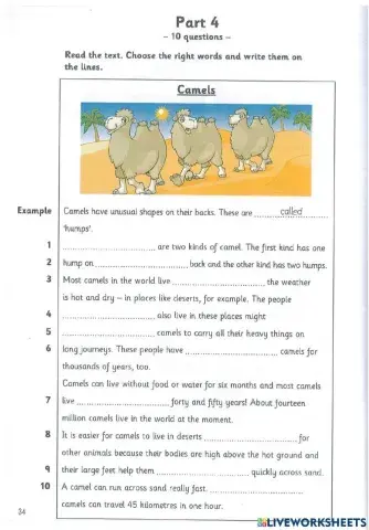 Flyer 3 - Test 2.2 - Reading and Writting