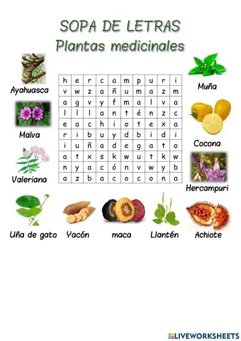 Sopa de letras Plantas medicinales