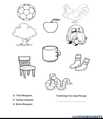 Tulis huruf A pada ciptaan Allah, dan huruf M pada rekaan manusia