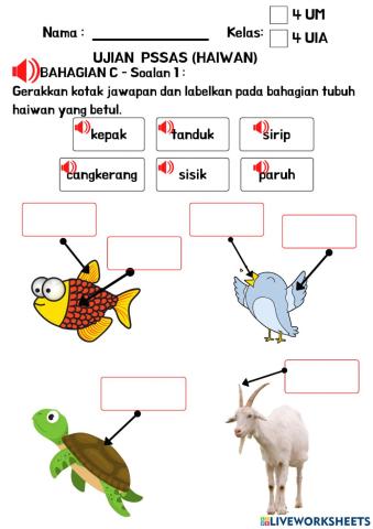 Haiwan-Bahagian Tubuh Haiwan Dan Fungsinya