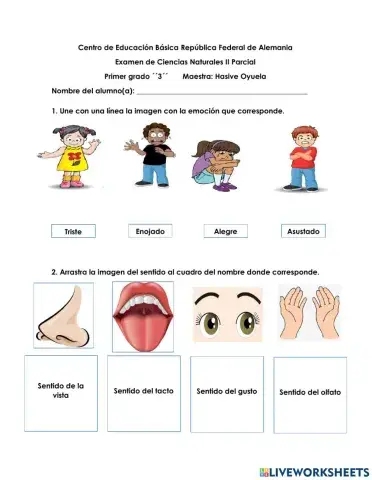 Examen Ciencias Naturales2