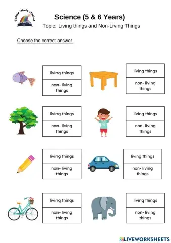 5 & 6 Years: Science (Living & non living things)