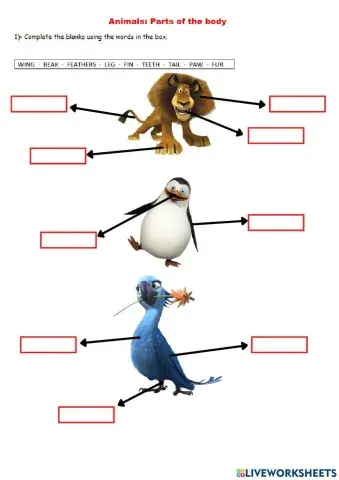 Animals parts of the body