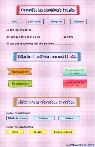 SISTEMA RESPIRATORIO 