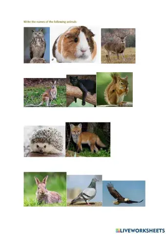 Animals in Britain
