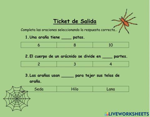 T. Salida Arácnidos