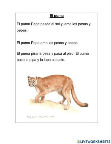 Lectura inicial-letras M L S P