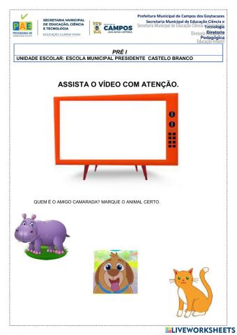 Animais domésticos