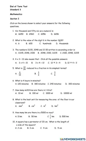 Mathematics Drill and Practice