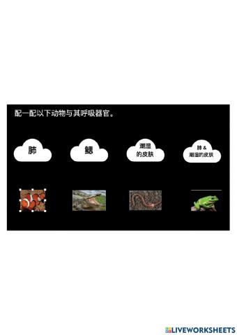 科学：呼吸器官