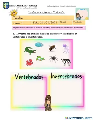 Evaluación Ciencias vertebrados e invertebrados