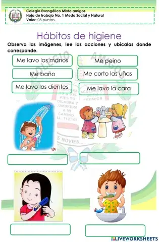 Hábitos higiénicos