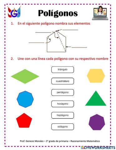 Polígonos