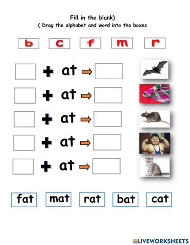 Vowel and consonant letters