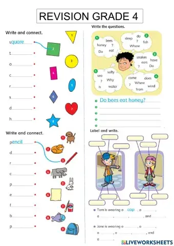Review shapes, clothes, reading comprehension
