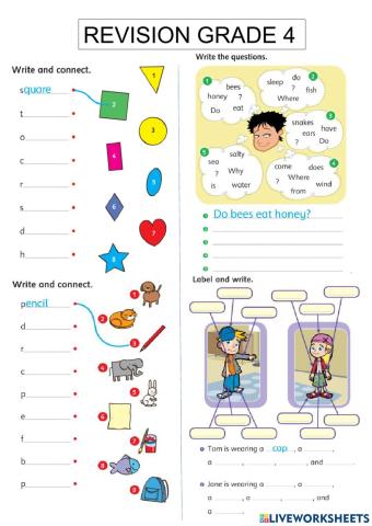 Review shapes, clothes, reading comprehension