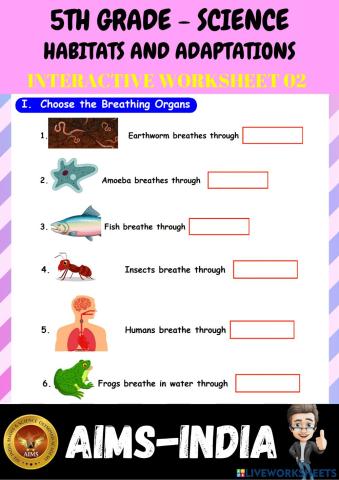 5th-science-ps02- animal habitats & adaptations