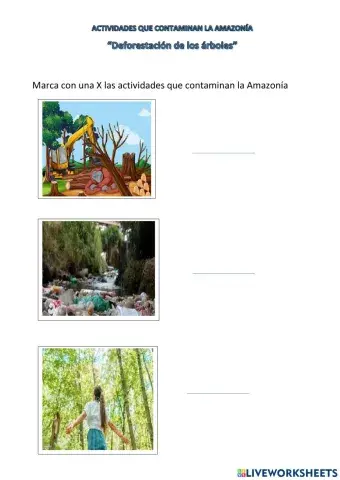 La deforestación amazonía