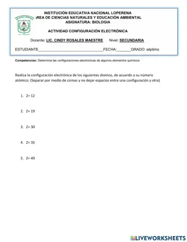 Configuracion electronica