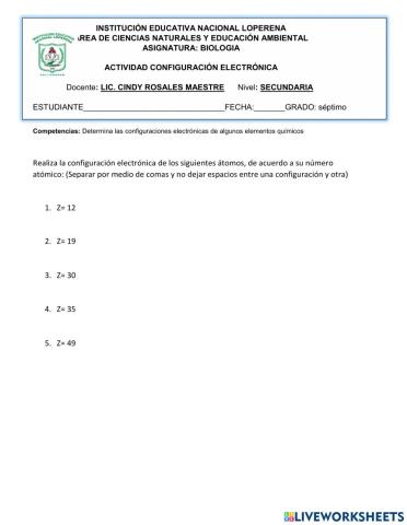 Configuracion electronica