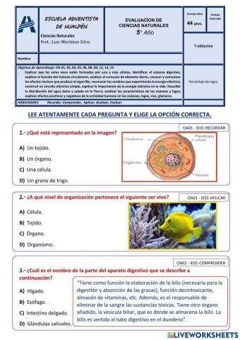 Evaluación Final - Ciencias Naturales
