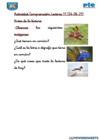 Actividad 11 Comprensión Lectora Personalizado