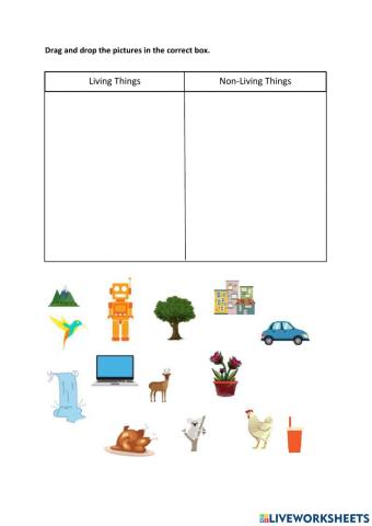 Living and Non-Living Things Sorting Activity