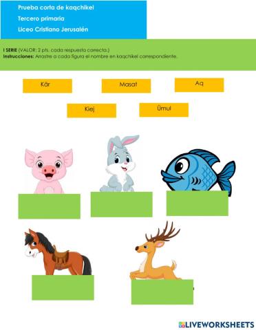 Los animales en kaqchikel