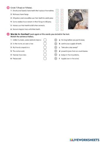 What are teeth for? Reading comprehension activities