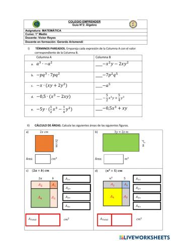 Guía N°2- Álgebra