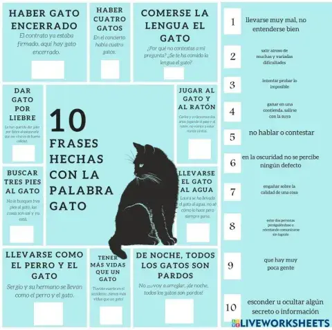 Frases Hechas y Modismos