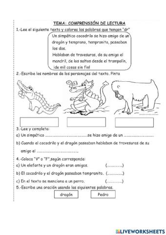 Lectura comprensiva