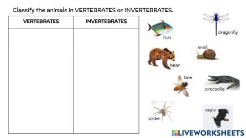 Vertebrates and Invertebrates