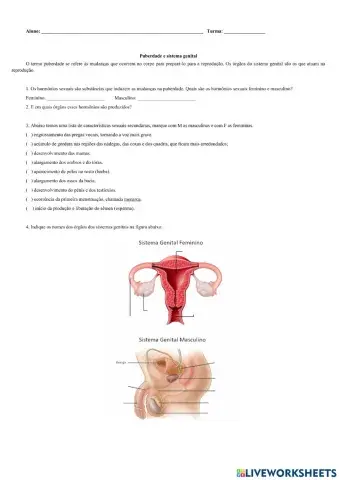 Puberdade e sistema genital