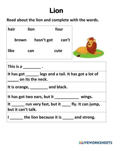 Lion Description