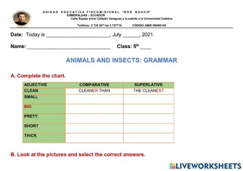 Comparatives and Superlatives