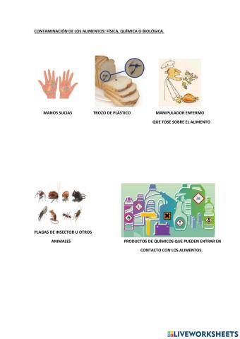 Tipos de contaminacion de los alimentos