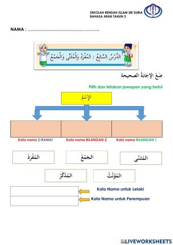 Bahasa Arab Tahun 3 - المفرد المثنى والجمع