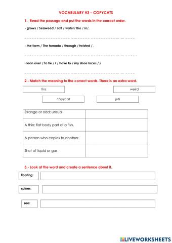 Copycats Vocabulary -3