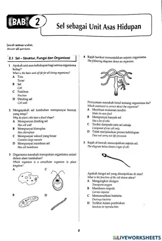 2-Cell as The basic Unit of Life
