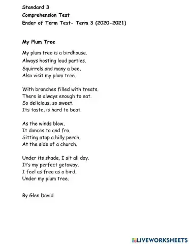 Standard 3 Comprehension Test 