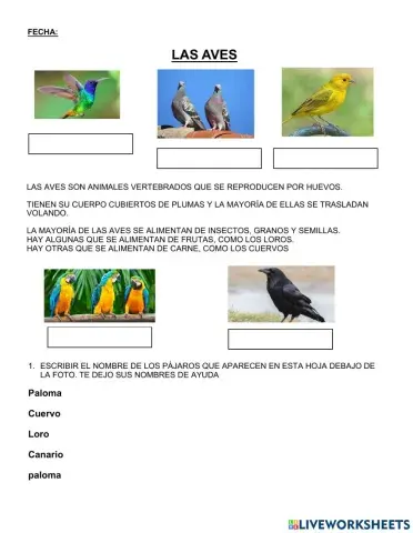Las aves