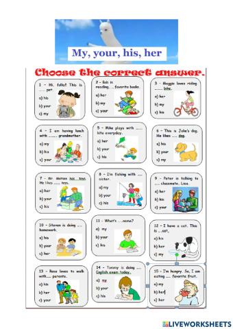 Practice possessive 's + possessive adjectives + classifying