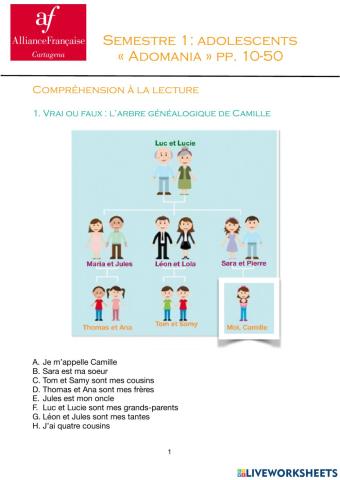 Adomania 1 : test Alliance française